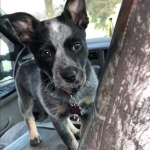 Meet your Posher, Keith